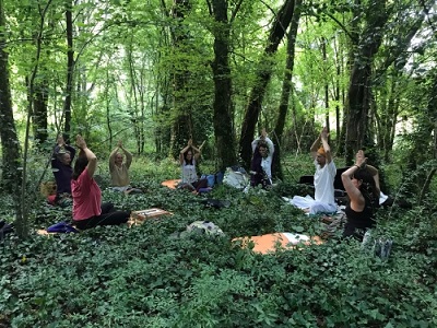 Méditation en forêt